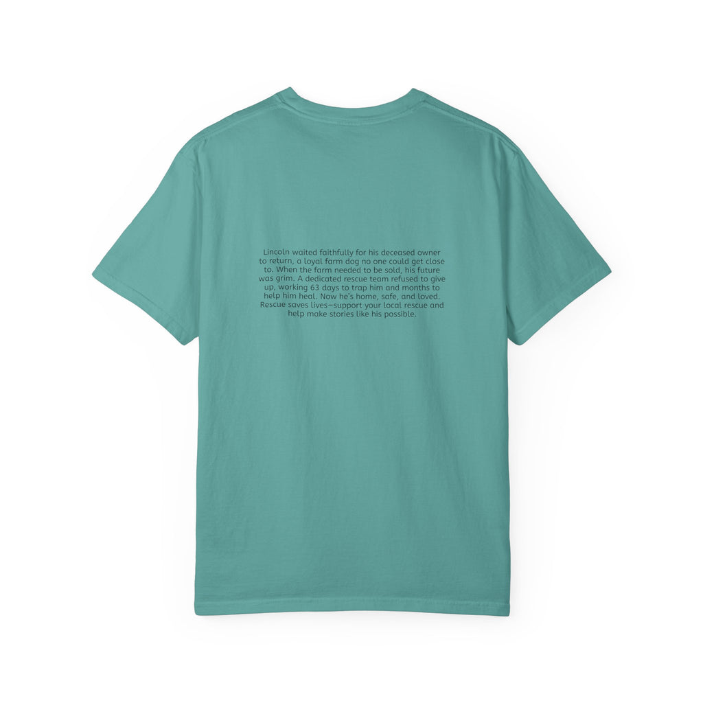 Lincoln | T-Shirt