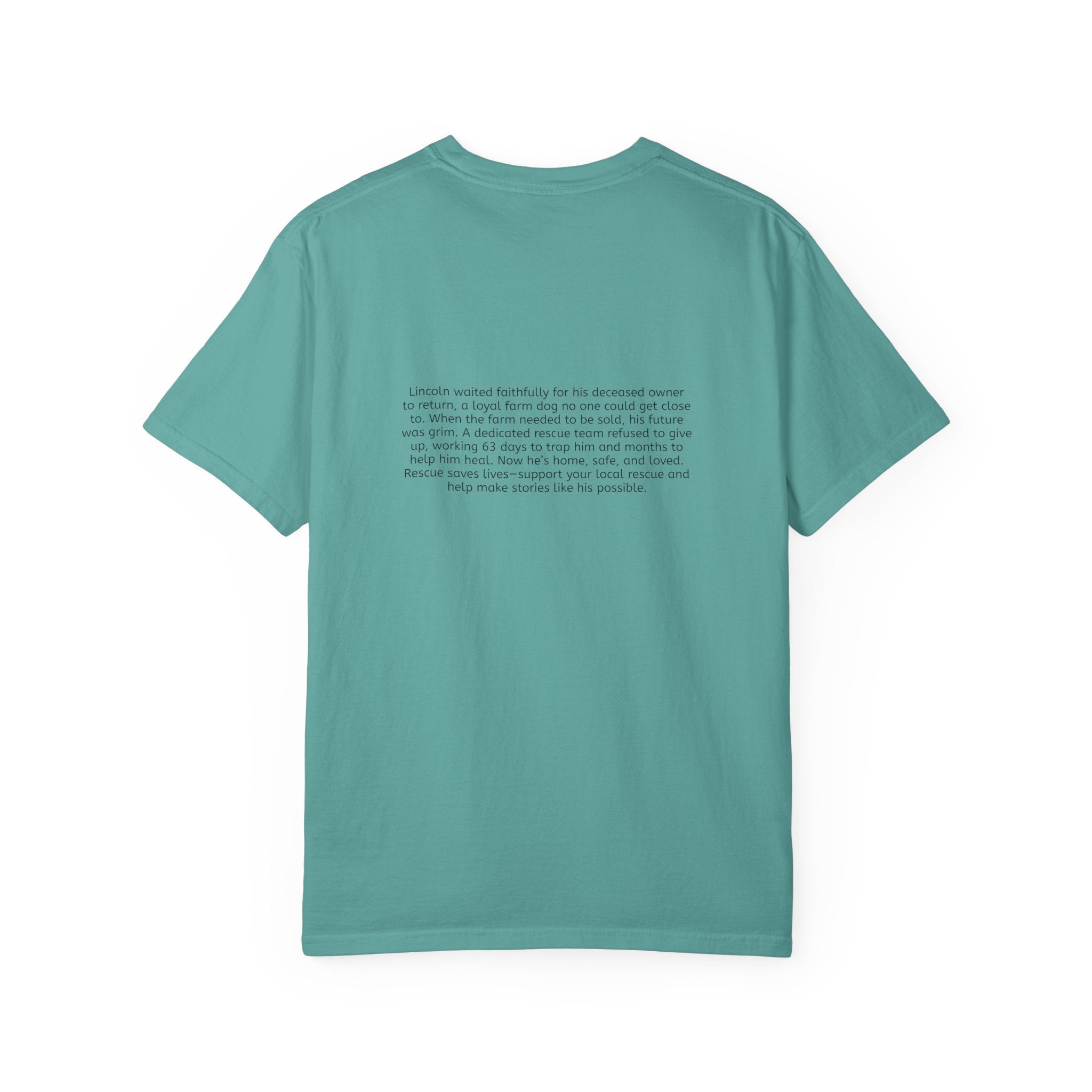 Lincoln | T-Shirt