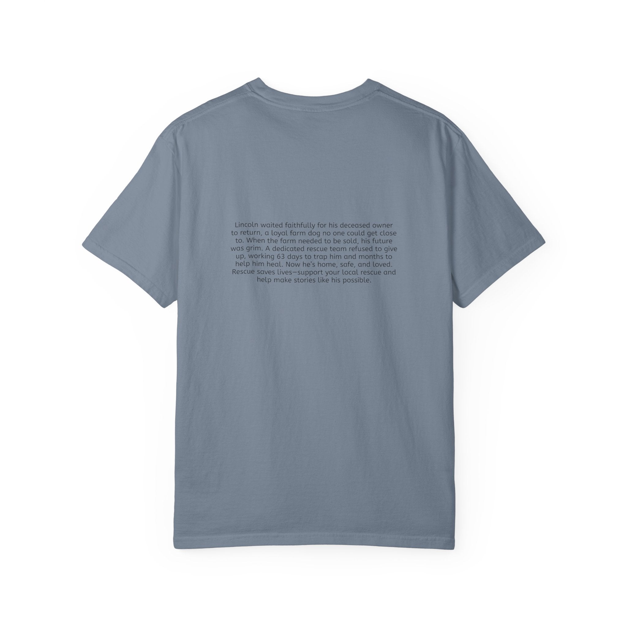 Lincoln | T-Shirt