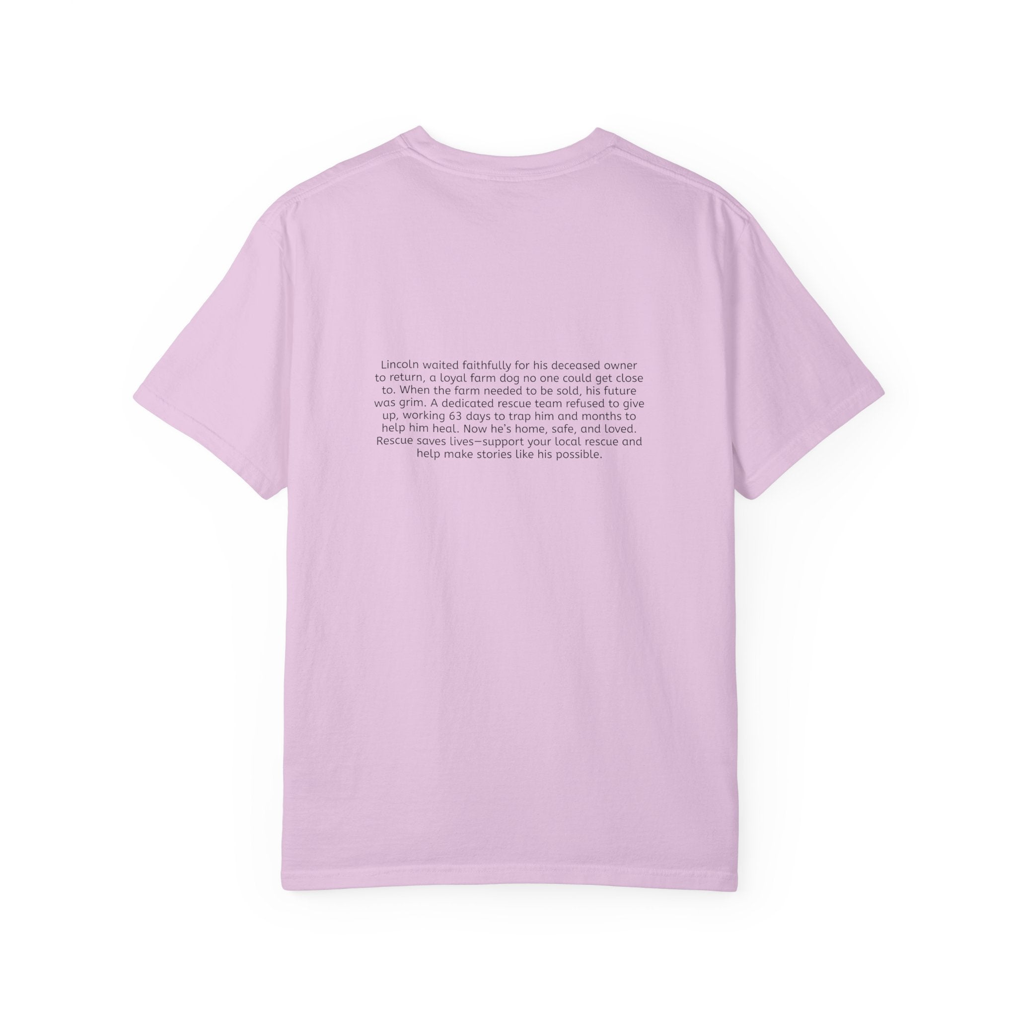 Lincoln | T-Shirt