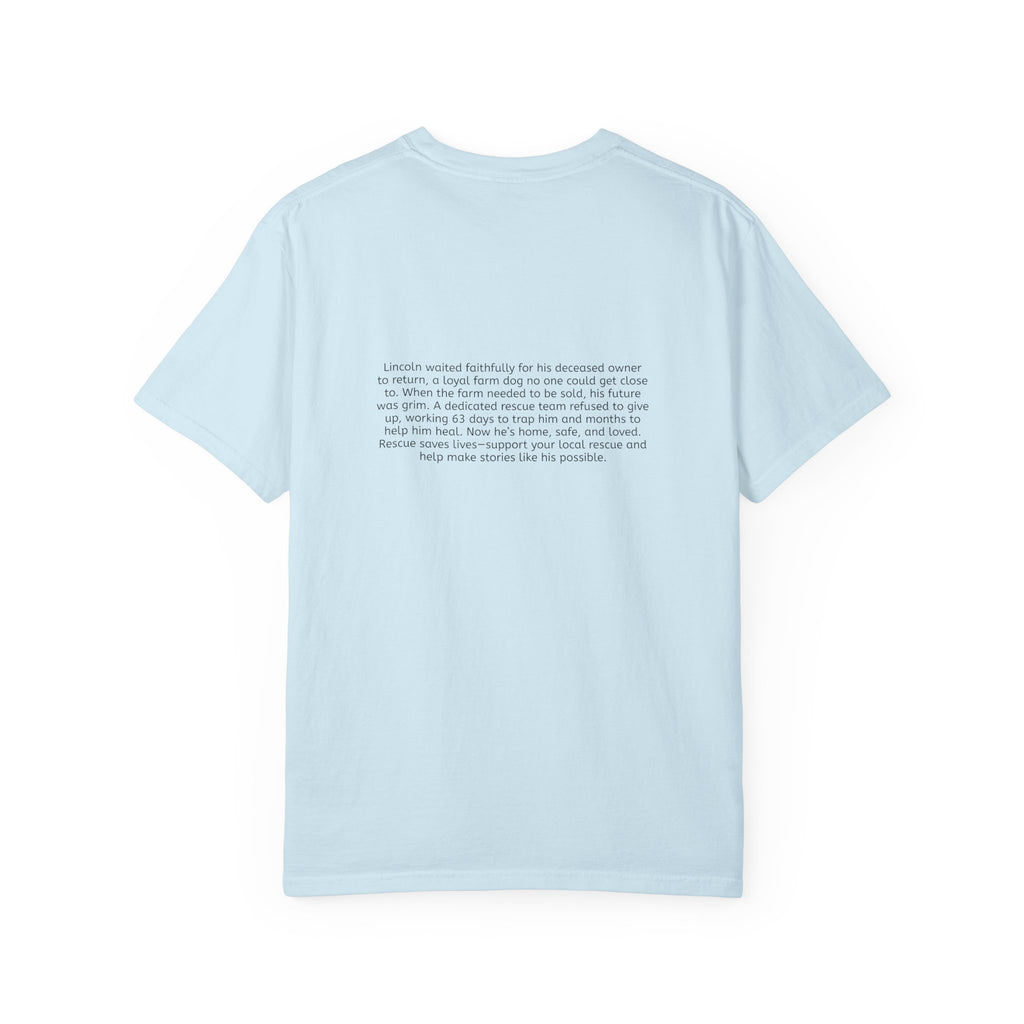 Lincoln | T-Shirt