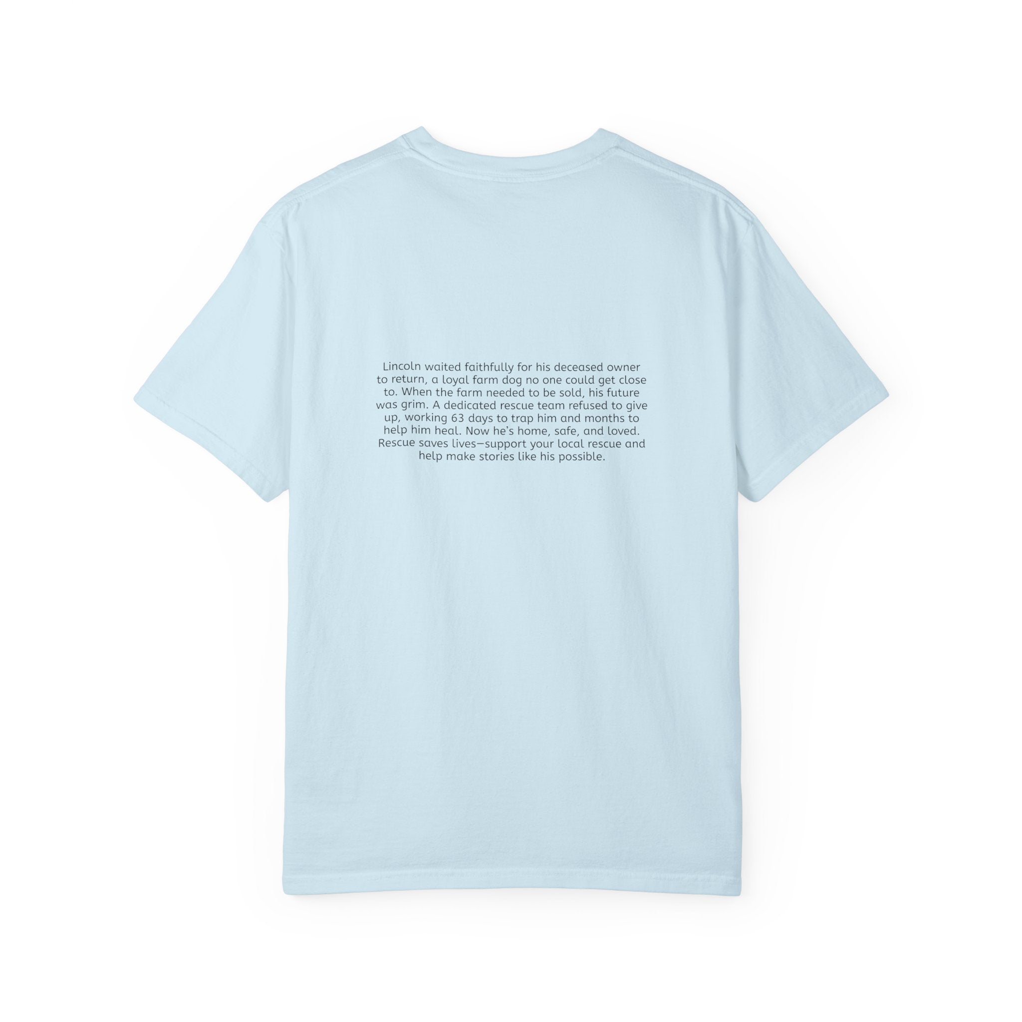 Lincoln | T-Shirt