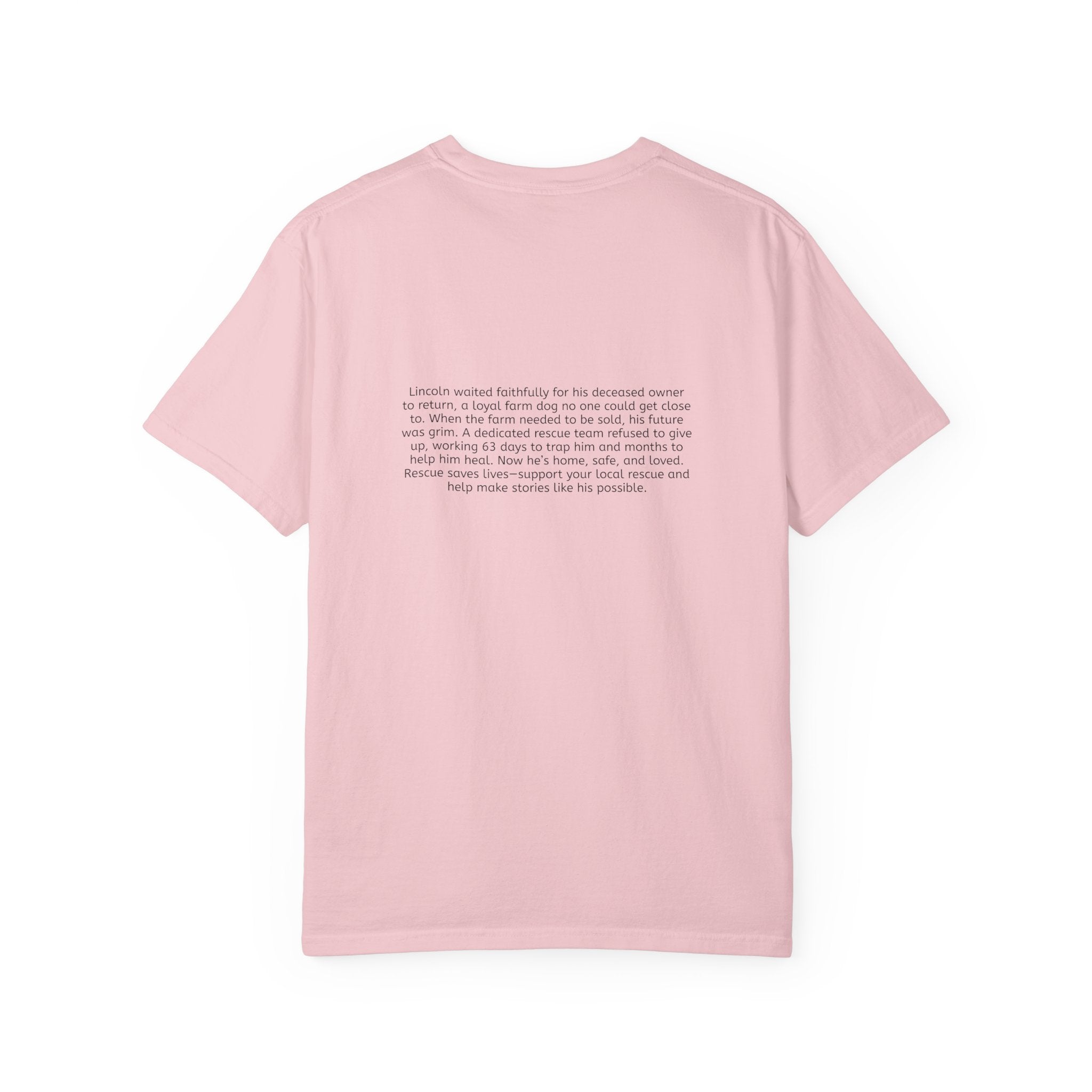 Lincoln | T-Shirt