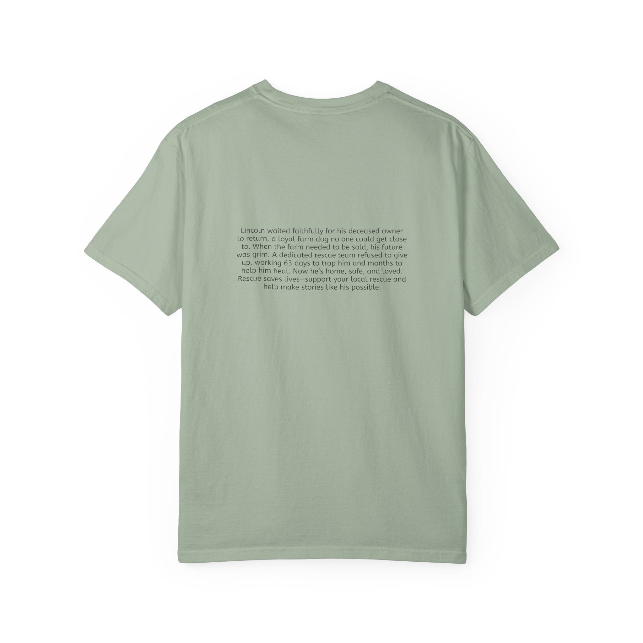 Lincoln | T-Shirt